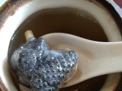 原只椰子炖竹丝鸡-阿二靓汤(建设店)