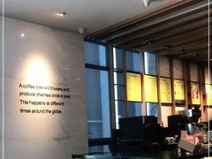 -星巴克(汾阳路店)