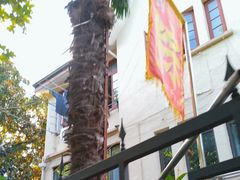 -璐坊粽王(复兴中路店)