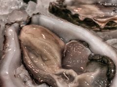 -Oyster Talks 四度蚝法餐厅