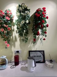 -变美丽半永久纹眉连锁·机器野生眉•洗眉