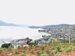 -小普陀
