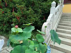 -阳澄湖半岛旅游度假区