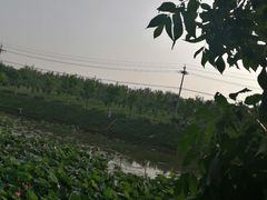 -北京政法职业学院(大兴校区)
