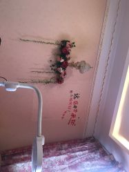 -芳朵美容养生SPA