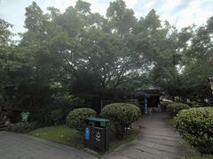 -桂湖森林公园