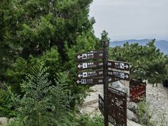 -香山公园