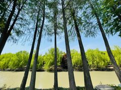 -上海月湖雕塑公园