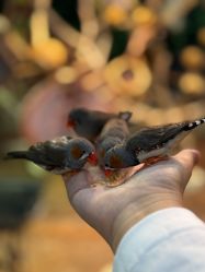 -Zoolung Zoolung动物主题公园(海信广场店)