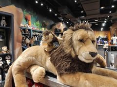 -珠海横琴国家地理探险家中心(创新方)