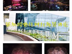 -新加坡丽思卡尔顿美年酒店