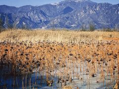-野鸭湖国家湿地公园