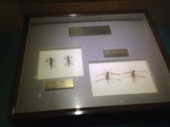 -上海昆虫博物馆