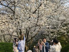 -中国茶叶博物馆(双峰馆区)