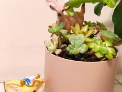 -鹿岛会员店 (龙湖三千集天街店)