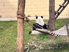 -石家庄市动物园