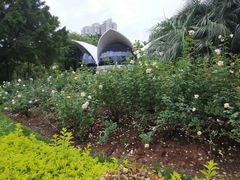 -人民公园(罗湖区)