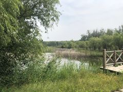 -野鸭湖国家湿地公园