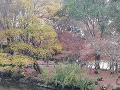 -秋霞圃