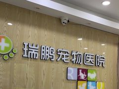 -瑞鹏宠物医院犬猫全科(真大分院)
