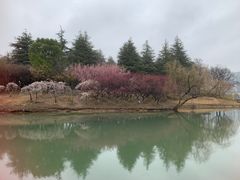 -白塘生态植物园