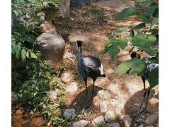 -济南野生动物世界