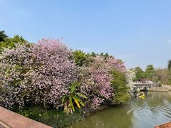 -海珠湖公园
