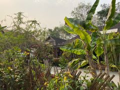 -西双版纳傣族园