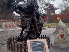 -大槐树寻根祭祖园