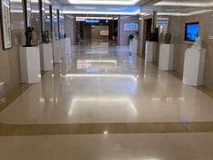 -郑州新郑国际机场T2航站楼-贵宾厅B区