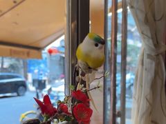 -花鸟鱼私家小厨·川菜(文殊院店)