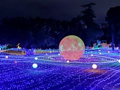 -广西壮族自治区药用植物园