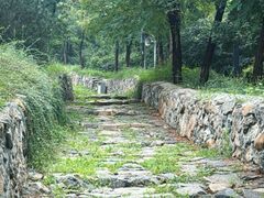 -阳台山自然风景区