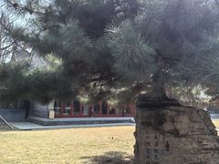 -护国法轮寺