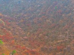-圣莲山风景区