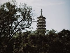 -焦山风景区