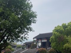 -大唐贡茶院