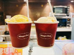 -哈根达斯(陆家浜路店)