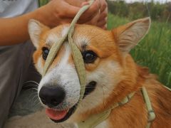 -天津东丽湖风景区