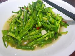 野芹菜-木子山庄·安徽省老字号·中国炖锅宴