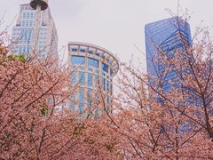 -西北湖绿化广场