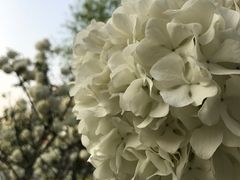 -大龙山(地铁站)