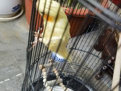 -悦真雅院·四合院·清真私房菜(雍和宫店)