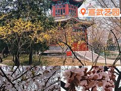 -宣武艺园
