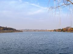 -羊山湖公园