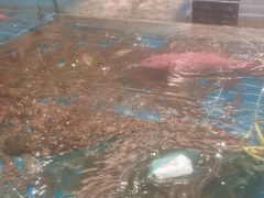 -新丁香海鲜酒店(银海商贸城店)