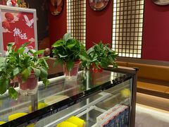 -熊姬手作茶物(沃尔玛武商百货店)