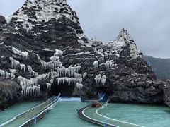 -珠海长隆海洋王国