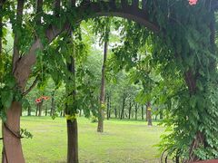 -狼山风景名胜区