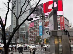 -涩谷区